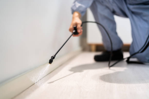 Licensed Pest Control service in Harrison, NY - Show Me Pest Control
